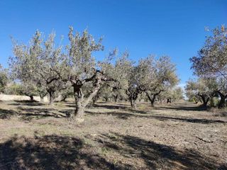Terreno en venta en Ontinyent