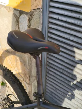 Bicicleta Orbea Sport 20