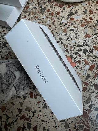 iPad Mini 2 Plata