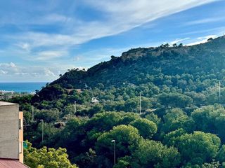 Piso en alquiler en Carolinas Bajas en Alicante