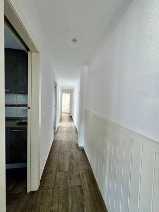 Piso en alquiler en Carolinas Bajas en Alicante