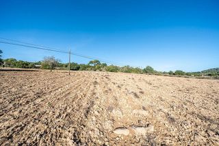 Terreno en venta en Manacor Centro en Manacor