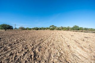 Terreno en venta en Manacor Centro en Manacor
