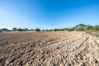 Terreno en venta en Manacor Centro en Manacor