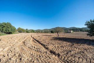 Terreno en venta en Manacor Centro en Manacor