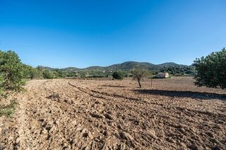 Terreno en venta en Manacor Centro en Manacor