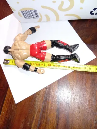 Action Figure WWE