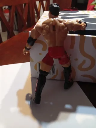 Action Figure WWE