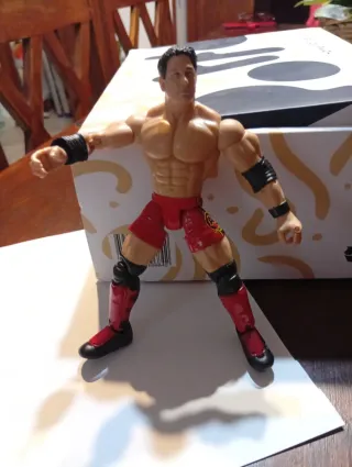 Action Figure WWE