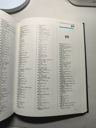 Diccionario Multilingue