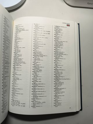 Diccionario Multilingue