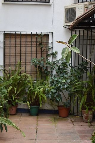 Piso en alquiler en Casco Histórico  - Ribera - San Basilio en Córdoba