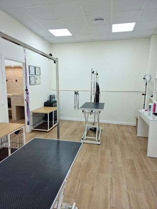 Local comercial en venta en La Creu del Grau en Valencia