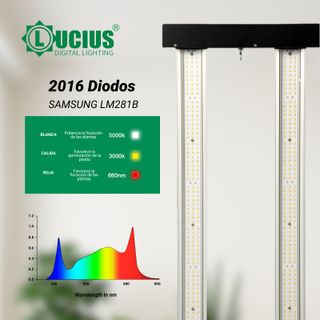 Luces LED Lucius 720w 2.9