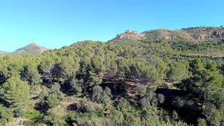 Piso en alquiler en Náquera