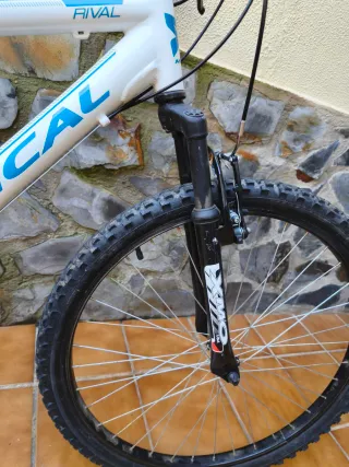MTB Mitical Rival Rece Pro 26