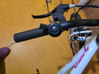 Bicicleta Montaña Avigo Kilauea 20 pulgadas