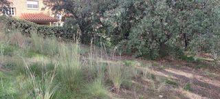 Terreno en venta en Castellvell del Camp