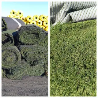 Venta césped artificial