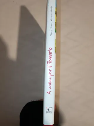 A zonzo per il Piemonte. Guida illustrata di ci...