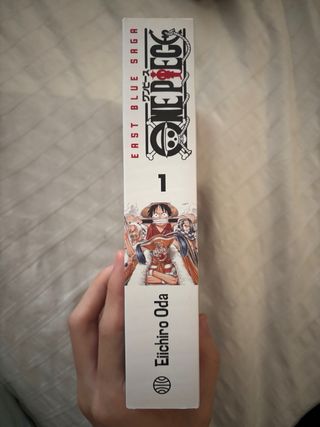 One Piece nº 01 (3 en 1)