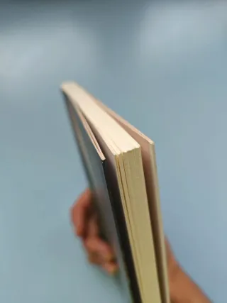 Los espejos venecianos (Alandar) (Spanish Edition)