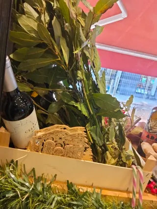 Estanterías frigoríficas y congeladores