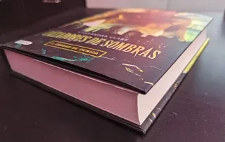 Libro Cazadores de sombras 2: Ciudad de ceniza