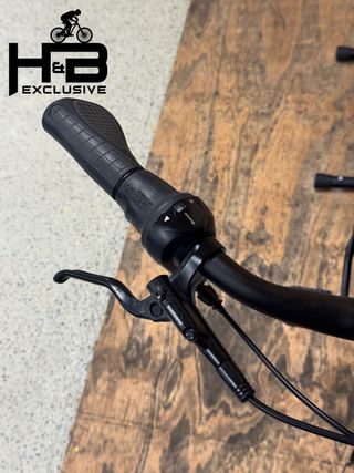 Hercules Rob Fold R8 Shimano Nexus 2021