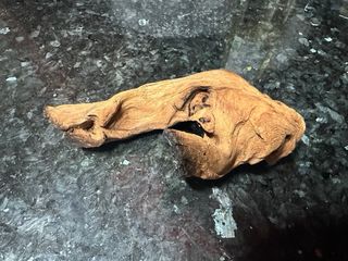 Tronco decorativo para terrario o acuario