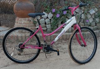 Bicicleta de montaña