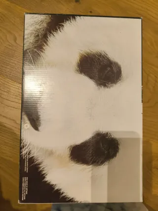 Converse x CLOT Chuck 70 High Panda