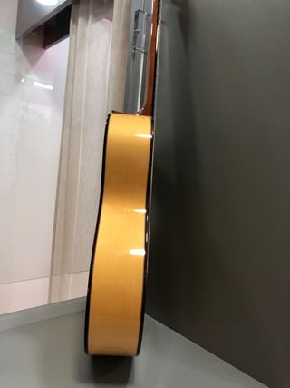 Guitarra Alhambra Mod 7 FC