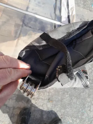 Vela Windsurf Gaastra 5.5