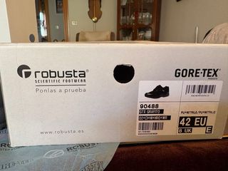 Botas de seguridad Robusta GTX Grafito