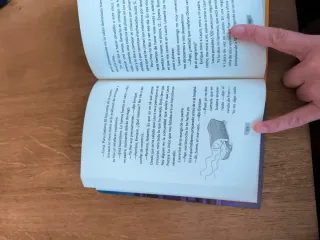 Misterios a domicilio 2 - Una estrella estrellada