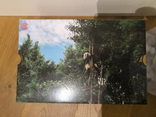 Converse Jack Purcell OX Panda x Clot