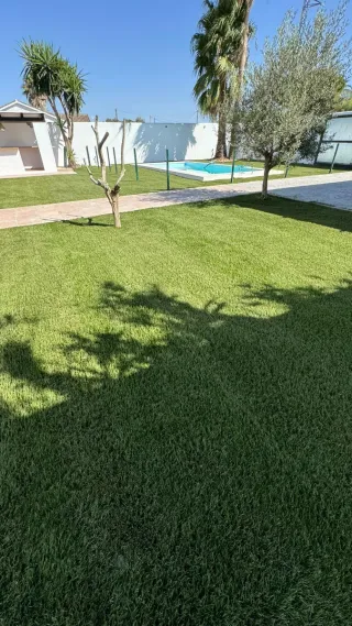 Césped Artificial Venta e Instalación