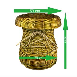 Bota Mimbre Artesanía Parras Verdosa