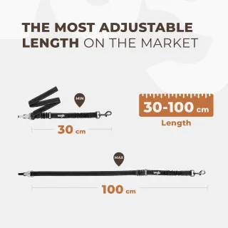 CINTURA DI SICUREZZA PER CANI CANE GUINZAGLIO