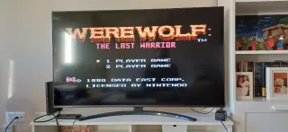 Juego NES Werewolf: The Last Warrior