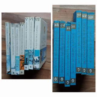 Diccionario Infantil Ilustrado-Plaza y Janés 1966