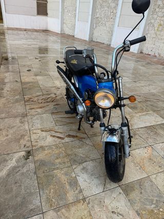 Dingo 50cc Azul