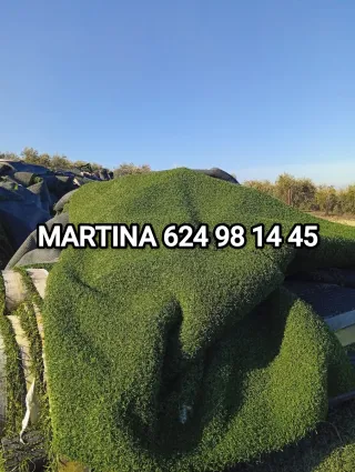 Césped artificial