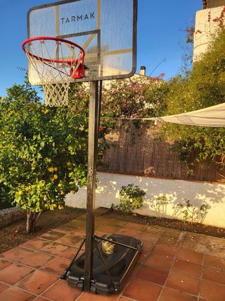 Canasta baloncesto Tarmak con tablero ajustable