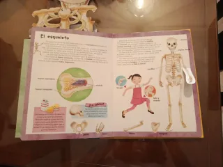 Mira dentro de tu cuerpo: Libro y puzle esqueleto