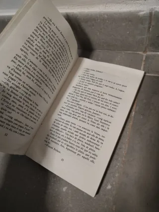 Flanagan de luxe: Premi Columna Jove 1994