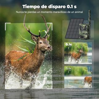 Cámara Vigilancia 4G Solar VXK Noche
