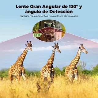 Cámara Vigilancia 4G Solar VXK Noche