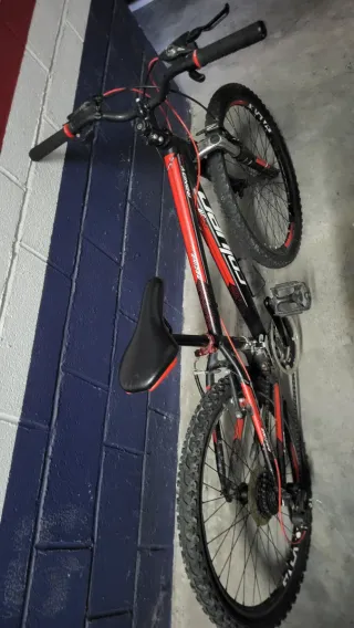 Bicicleta infantil Coluer Randy 240